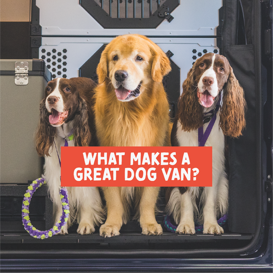 What Makes a Great Dog Van?
